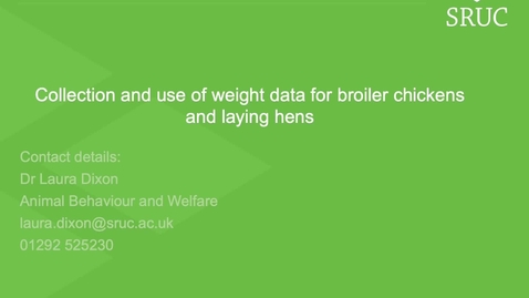 Thumbnail for entry Weight data for broiler and layers