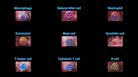 Thumbnail for entry Supercytes cartoon - All cells (compilation)