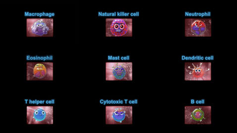Thumbnail for Supercytes cartoon - All cells (compilation)