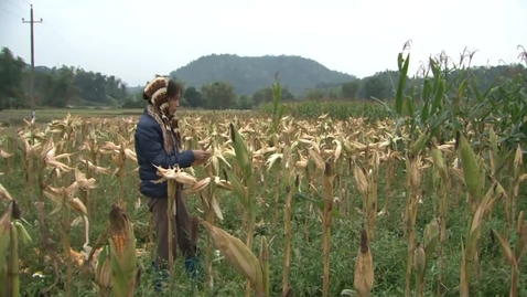 Thumbnail for Sustainable Development Goals