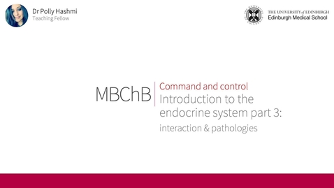 Thumbnail for Intro to the endocrine system: interaction &amp; pathologies