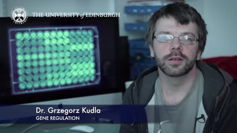Thumbnail for Grzegorz Kudla  -Gene Regulation-Research In A Nutshell- MRC Institute of Genetic and Molecular Medicine-06/05/2014