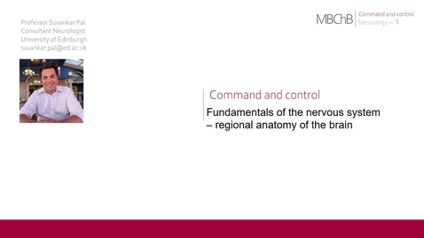 Thumbnail for Command and Control - Regional anatomy of the brain