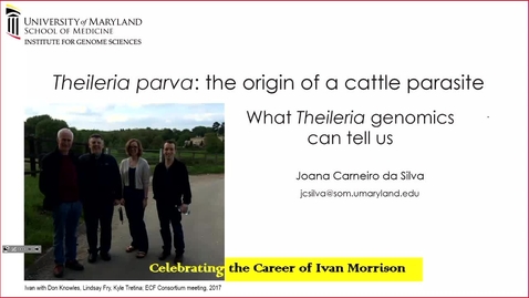 Thumbnail for entry The origin of a cattle parasite: what Theileria genomics can tell us - Professor Joana Silva
