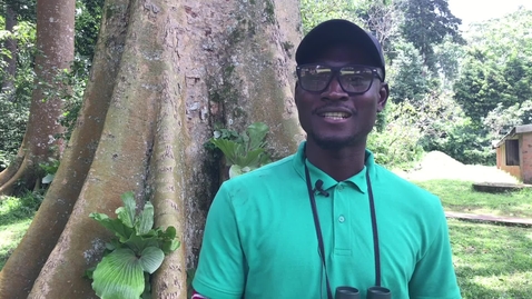 Thumbnail for entry Biodiversity, Wildlife and Ecosystem Health online masters: Anthony Adeea Mba - student testimonial