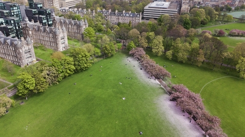 Thumbnail for Drone The Meadows cherry blossom lateral tracking