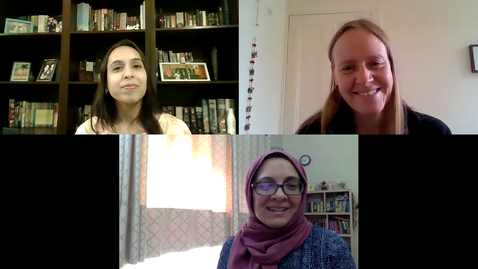 Thumbnail for Feminist international collaborations: a best practice example of an interdisciplinarity and participatory approach