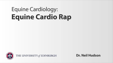 Thumbnail for Equine Cardio Rap