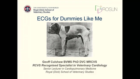 Thumbnail for entry ECGs for Dummies Like Me