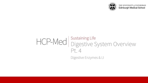 Thumbnail for Digestive System Overview Pt.4