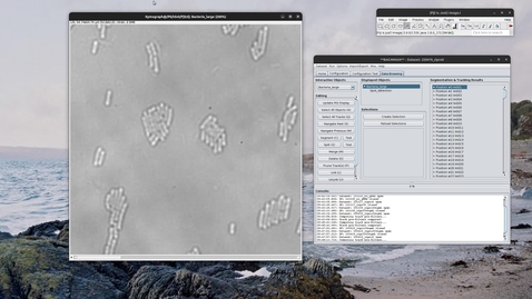 Thumbnail for Add an object to a segmentation mask