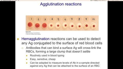 Thumbnail for entry Agglutination reactions