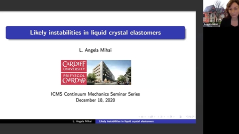 Thumbnail for Likely instabilities in liquid crystal elastomers - Angela Mihai
