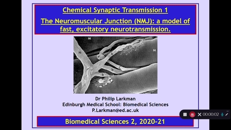 Thumbnail for BMS2: Chemical Synaptic Transmission 1 Part 1 Dr Phil Larkman