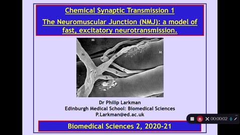 Thumbnail for entry BMS2: Chemical Synaptic Transmission 1 Part 1 Dr Phil Larkman