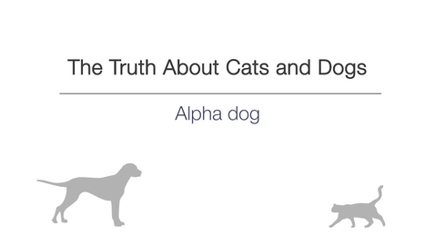 Thumbnail for entry Week 2 -  Alpha Dog