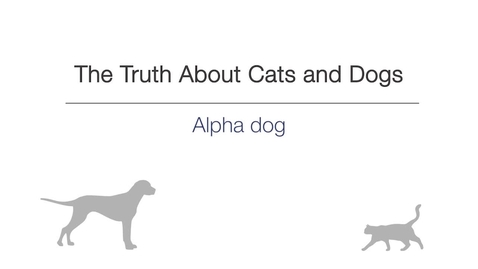 Thumbnail for Week 2 -  Alpha Dog