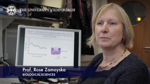 Thumbnail for entry Rose Zamoyska  - Biological Sciences- Research In A Nutshell - School of Biological Sciences -16/04/2013