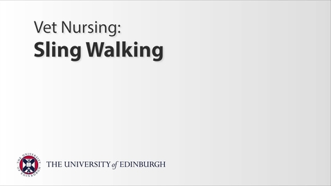 Thumbnail for entry Vet Nurse: Sling Walking