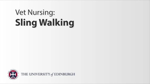 Thumbnail for Vet Nurse: Sling Walking