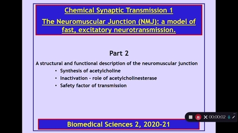 Thumbnail for BMS2: Chemical Synaptic Transmission 1 Part 2 Dr Phil Larkman