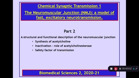 Thumbnail for entry BMS2: Chemical Synaptic Transmission 1 Part 2 Dr Phil Larkman