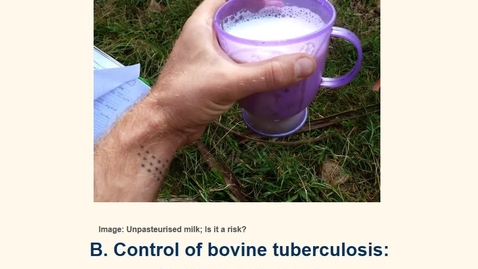 Thumbnail for entry Bovine Tuberculosis - An International Perspective on Diagnosis and Control 2