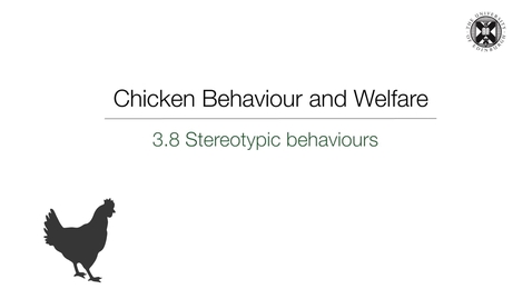 Thumbnail for entry Week 3:  3.8 Stereotypic Behaviours