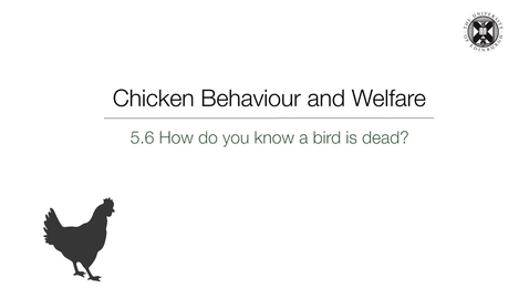 Thumbnail for entry Week 5:  5.6 How do you know a bird is dead?