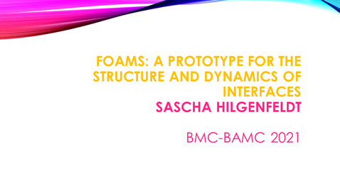 Thumbnail for entry BMC BAMC 2021 Sascha Hilgenfeldt