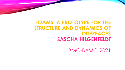 Thumbnail for BMC BAMC 2021 Sascha Hilgenfeldt