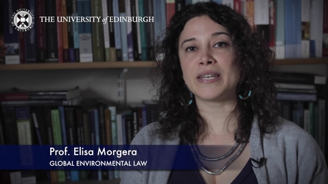Thumbnail for entry Elise Morgera-Global Environmental Law-Research In A Nutshell-School of Law-27/05/2015