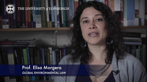 Thumbnail for Elise Morgera-Global Environmental Law-Research In A Nutshell-School of Law-27/05/2015