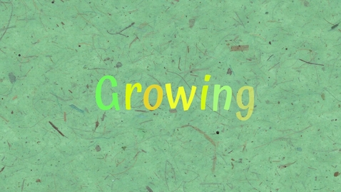 Thumbnail for STEP Starter Sack idea starters: Growing