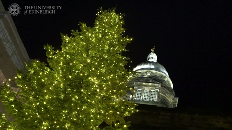 Thumbnail for Old College Christmas Tree Lights