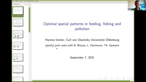 Thumbnail for Hannes Uecker, Oldenburg University