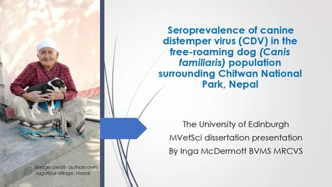 Thumbnail for entry Seroprevalence of Canine Distemper Virus