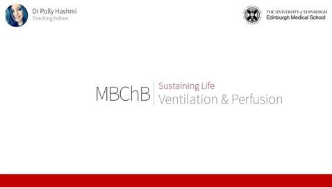 Thumbnail for Ventilation &amp; Perfusion