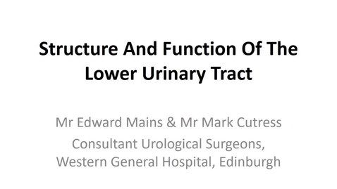 Thumbnail for entry Structure and function of lower urinary tract Part 1