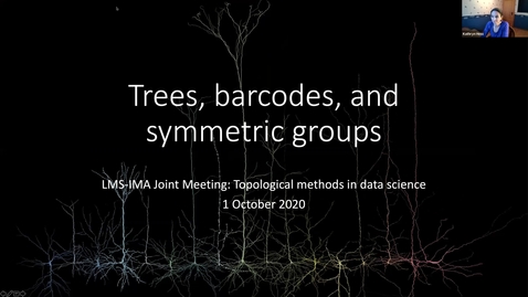 Thumbnail for entry IMA, LMS Joint Meeting: Topological methods in Data Science (1-2 October 2020)