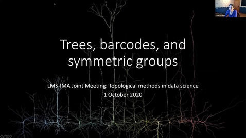 Thumbnail for IMA, LMS Joint Meeting: Topological methods in Data Science (1-2 October 2020)
