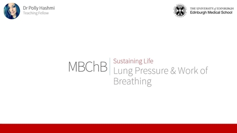 Thumbnail for Lung Pressures &amp; Work of Breathing