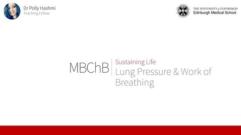 Thumbnail for entry Lung Pressures &amp; Work of Breathing