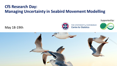 Thumbnail for entry Jesper Larssen: Uncertainty in Seabird Impact Assessments for Offshore Wind Farms - An Industry Perspective