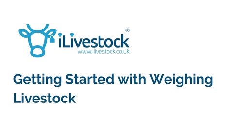 Thumbnail for entry Weighing livestock using iLivestock tech (Case Study)