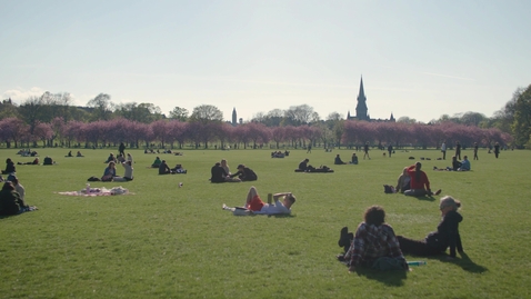 Thumbnail for Meadows - Spring 1