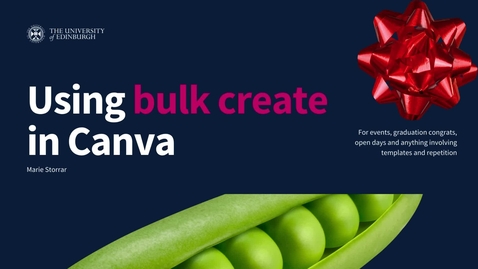Thumbnail for Using Bulk Create in Canva (Pro or Teams)