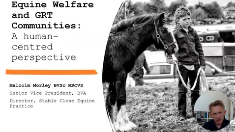 Thumbnail for Gypsy, Roma &amp;Traveller equine culture; acknowledging the past, exploring the present, and embracing for the future