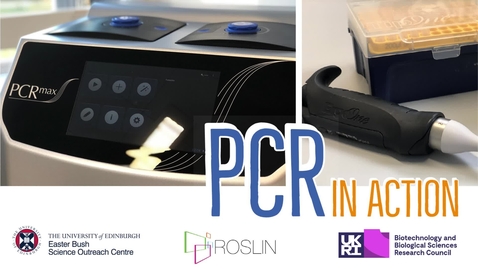 Thumbnail for PCR in Action - Interactive Video