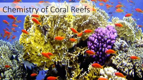 Thumbnail for entry Coral Reefs Introdution to the Organisums